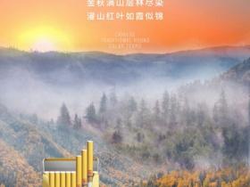 长白山国礼人参参缘条：百元档高端人参香烟品鉴与解析