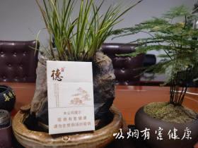云烟红盒精品香烟全面解析：口感评测与收藏价值分析