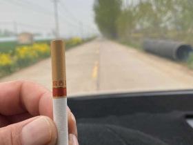 长白山香烟哪款好抽又便宜？2025年性价比推荐指南