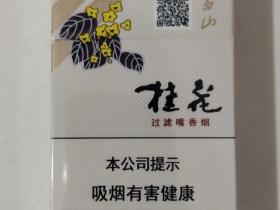 真龙香烟哪款好抽又划算？各价位口感解析与选购指南