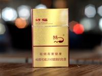 进口烟斗丝40元一盒选购指南：低价高质品牌推荐与使用技巧