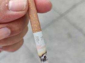 越南阮朝兴衰史：殖民时代的香烟经济与权力游戏