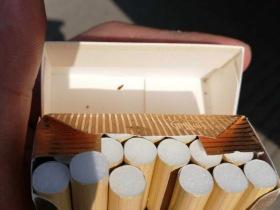 越南555中支银尚品鉴：口感解析与市场口碑