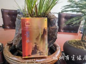 真龙香烟价格与口感推荐：高性价比款式全解析
