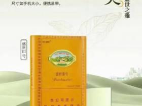广西越南代工烟批发全攻略：渠道解析与避坑指南
