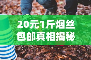 贵烟国酒香15出口版与国内版全面对比：包装到口感全解析