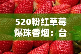 遵义香烟进货渠道全解析  正品货源与批发指南