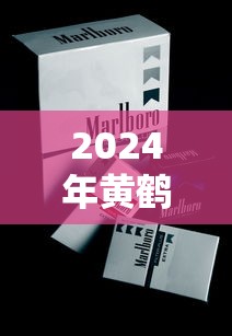 长城香烟好不好？真实体验评测与口感细节全解析