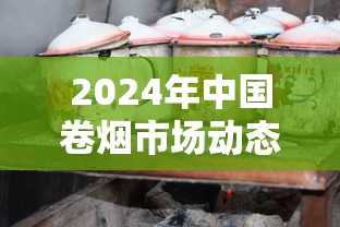 2024年中国卷烟市场动态与消费趋势深度解析
