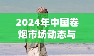 2024年中国卷烟市场动态与消费趋势深度解析