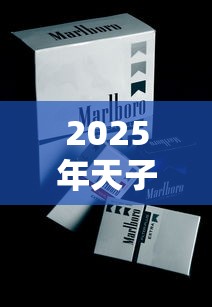 2025年天子烟价格全解析：各系列报价与选购指南