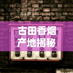 云烟紫云一条多少钱？2025年最新价格及购买指南