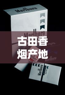 长白山香烟种类大全  价格参数、口感特点、选购指南全解析