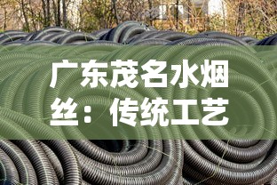 广东茂名水烟丝：传统工艺与地域文化的深度解析