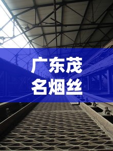 广东茂名烟丝探秘：传统工艺与现代市场的碰撞