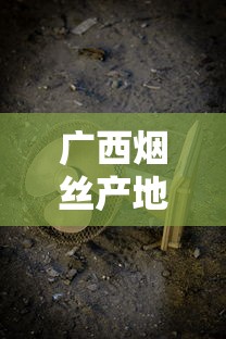 广西烟丝产地大揭秘：这3个地方最值得一试