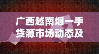 广西越南烟一手货源市场动态及渠道解析