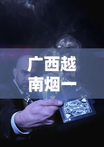 广西越南烟一手货源市场动态及渠道解析