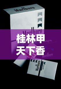 桂林甲天下香烟价格解析：各系列口感与市场行情全览