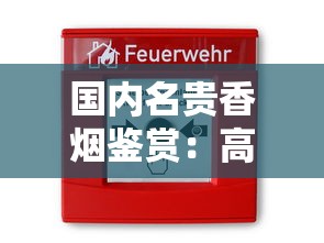 国内名贵香烟鉴赏：高端品牌与收藏价值解析