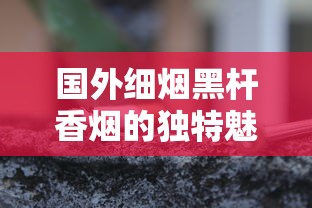 国外细烟黑杆香烟的独特魅力与深度解析