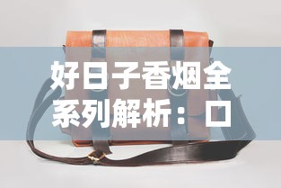 越南电商平台香烟代购渠道及合规指南