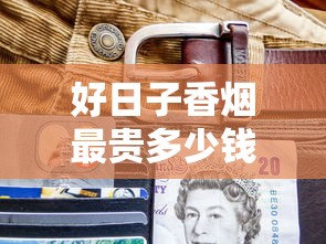好日子香烟最贵多少钱一包？各系列价格对比大揭秘