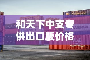 和天下中支专供出口版价格与市场解析