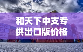 和天下中支专供出口版价格与市场解析