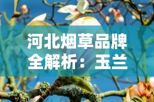 河北烟草品牌全解析：玉兰、钻石与荷花的前世今生