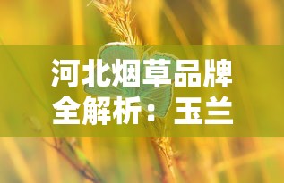 河北烟草品牌全解析：玉兰、钻石与荷花的前世今生