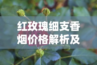 红玫瑰细支香烟价格解析及购买指南