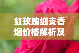 红玫瑰细支香烟价格解析及购买指南