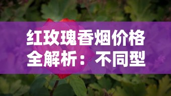 红玫瑰香烟价格全解析：不同型号多少钱一条？