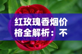红玫瑰香烟价格全解析：不同型号多少钱一条？