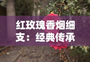 红玫瑰香烟细支：经典传承与创新口感的碰撞