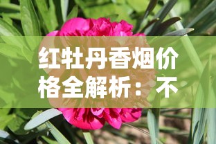 免税香烟代购网App全解析：真假辨别与风险指南