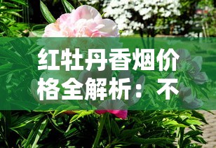 红牡丹香烟价格全解析：不同型号市场价及选购指南