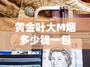 黄金叶大M烟多少钱一包？最新价格与口感全面解析