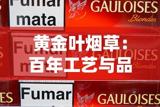 椰王香烟价格大全：2025年最新市场行情与购买指南