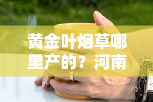 中华烟价格全解析：各系列一盒多少钱