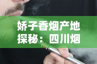 遵义牌软包香烟价格解析及购买指南