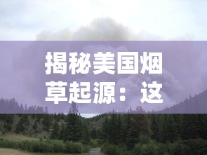 中国十大名烟排行榜：从中华到贵烟，这些品牌为何经久不衰？