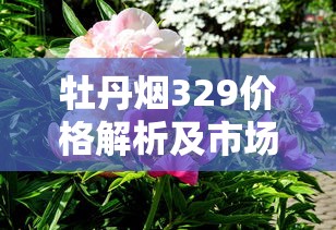 云烟印象上市时间全解析：从初代到新品的发展历程