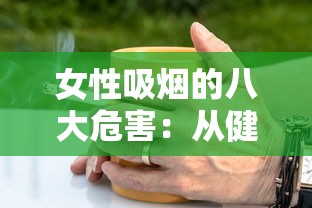 云烟熊猫20支中支：匠心工艺与品质体验的全解析
