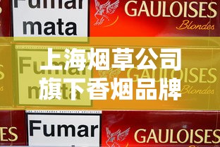 上海烟草公司旗下香烟品牌全解析：中华、红双喜等经典产品盘点