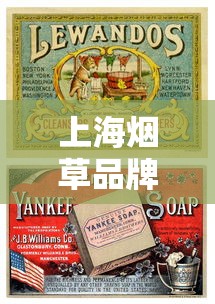 上海烟草品牌大全及经典产品解析