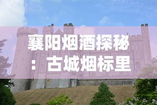襄阳烟酒探秘：古城烟标里的历史密码