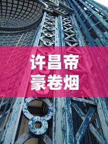 正品娇子香烟货源全解析：渠道选择与防伪技巧
