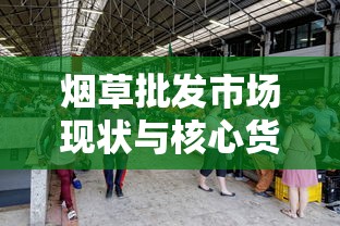 烟草批发市场现状与核心货源渠道解析